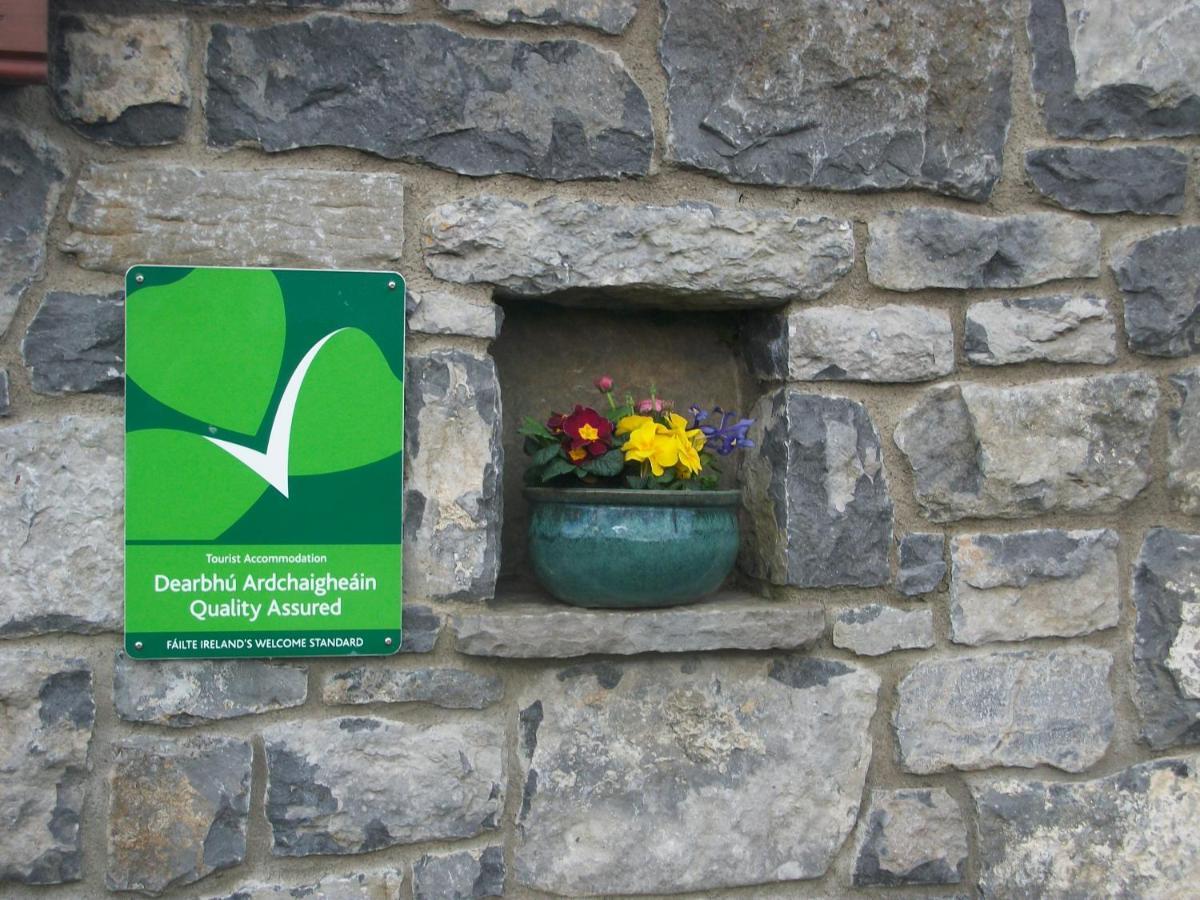 Aille River Tourist Hostel Glamping Doolin Exteriör bild